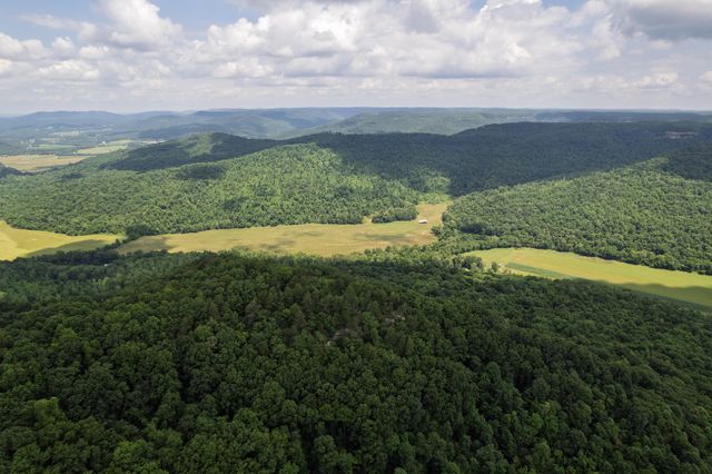 1313 Flat Rock Rd, Jamestown, TN 38556
