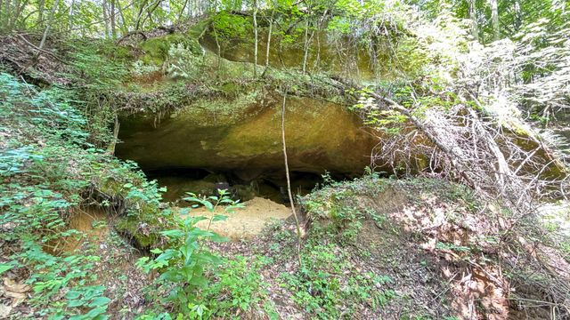 1313 Flat Rock Rd, Jamestown, TN 38556