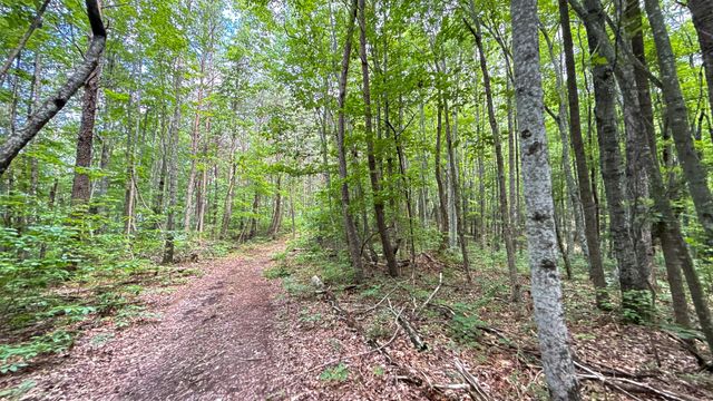 1313 Flat Rock Rd, Jamestown, TN 38556