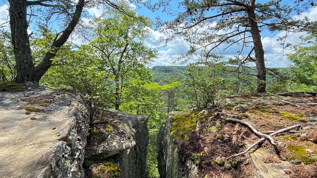 1313 Flat Rock Rd, Jamestown, TN 38556