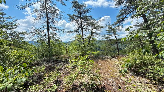1313 Flat Rock Rd, Jamestown, TN 38556