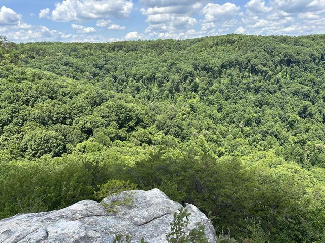 1313 Flat Rock Rd, Jamestown, TN 38556