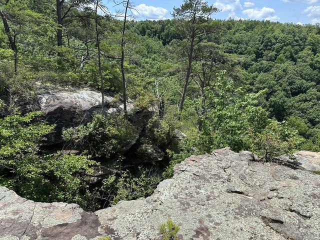 1313 Flat Rock Rd, Jamestown, TN 38556