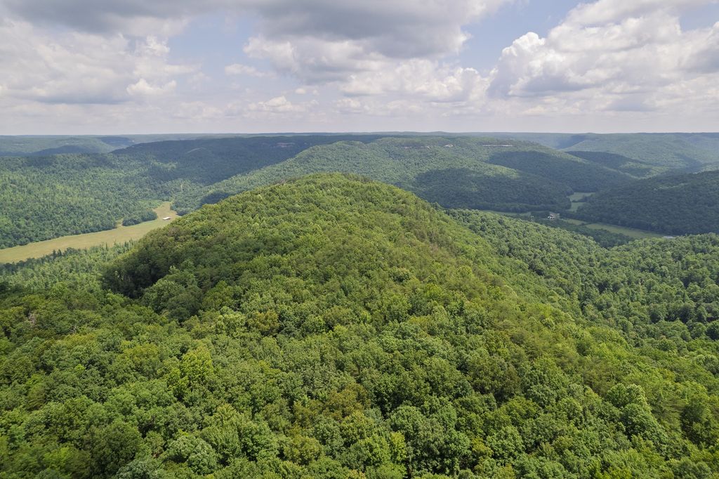 1313 Flat Rock Rd, Jamestown, TN 38556