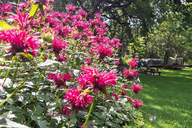 419 MAPLE LANE, Neenah, WI 54956