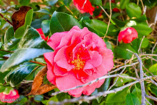 5260 Edgeware Drive, Calabasas, CA 91301