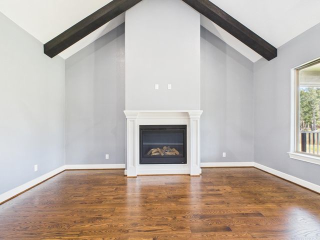 1006 Four Fountains Street, New Caney, TX 77357