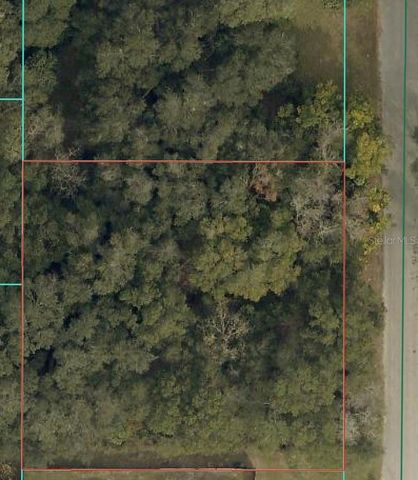 TBD SE 94 COURT, Summerfield, FL 34491