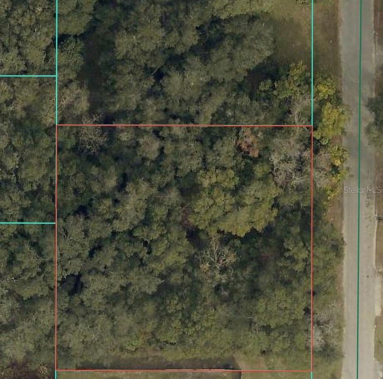 TBD SE 94 COURT, Summerfield, FL 34491