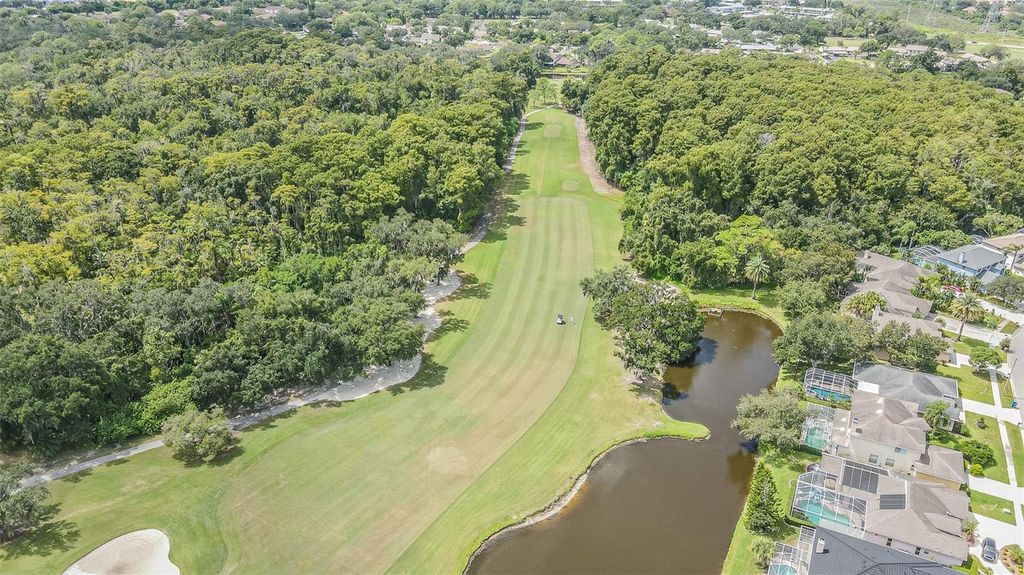 Image 12 of property listing at 4951 AUGUSTA AVENUE, Oldsmar, FL 34677