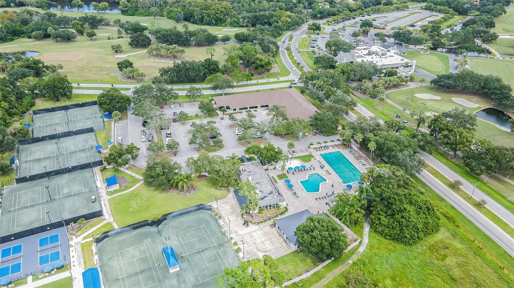 Image 55 of property listing at 4951 AUGUSTA AVENUE, Oldsmar, FL 34677