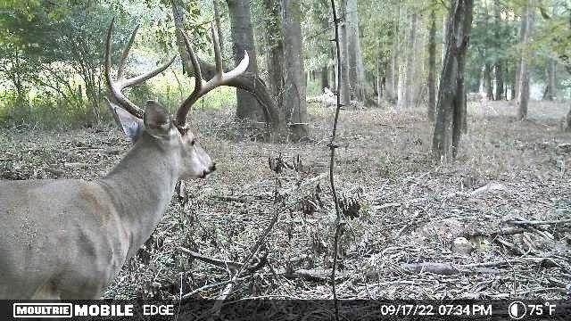 2018 Finch Drive, Winder, GA 30680