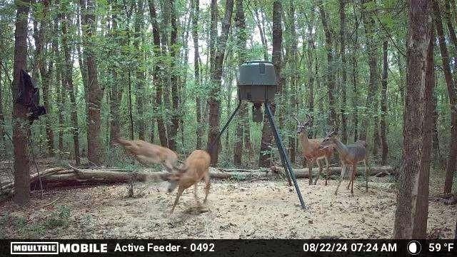 2018 Finch Drive, Winder, GA 30680