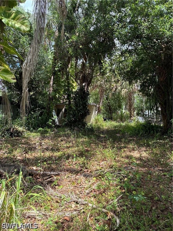 315 Buena Vista BLVD, Fort Myers, FL 33905