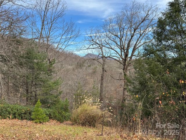 0 Deer Trail 16, Lake Lure, NC 28746