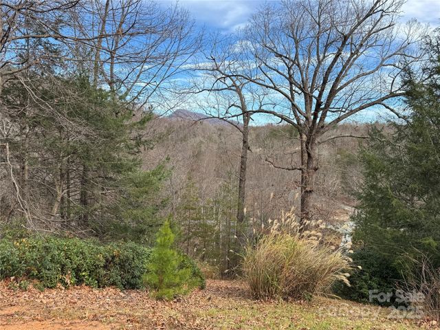 0 Deer Trail 16, Lake Lure, NC 28746