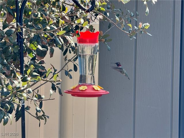 4917 Sevier Desert Street, North Las Vegas, NV 89081