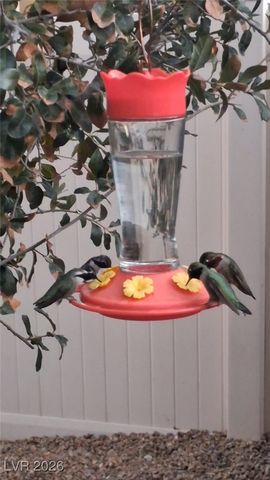 4917 Sevier Desert Street, North Las Vegas, NV 89081