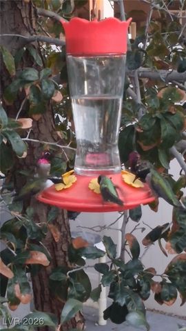 4917 Sevier Desert Street, North Las Vegas, NV 89081