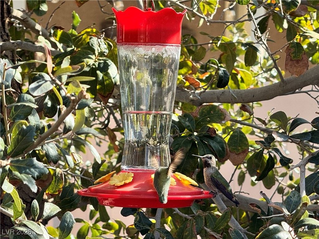 4917 Sevier Desert Street, North Las Vegas, NV 89081