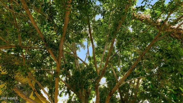 2322 S ROGERS -- 9, Mesa, AZ 85202