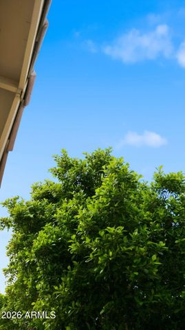 2322 S ROGERS -- 9, Mesa, AZ 85202