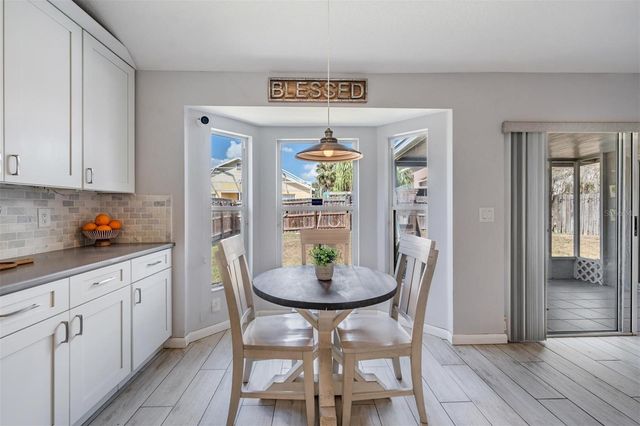 11130 INDIAN OAKS DRIVE, Tampa, FL 33625