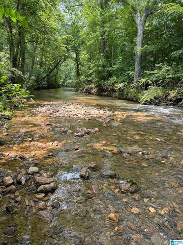 1009 COUNTY ROAD 619, Woodland, AL 36280