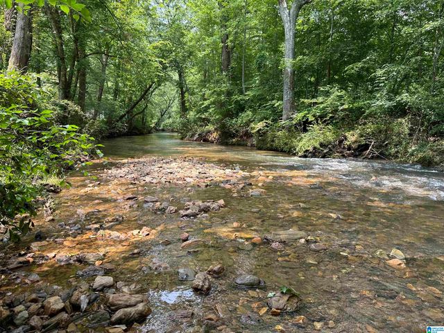 1009 COUNTY ROAD 619, Woodland, AL 36280