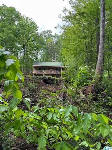 1009 COUNTY ROAD 619, Woodland, AL 36280