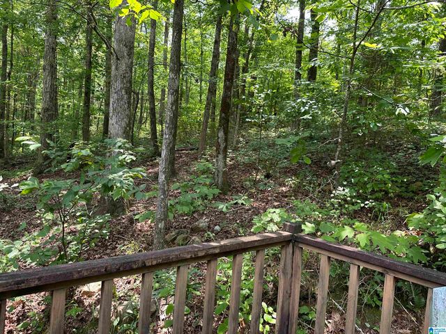 1009 COUNTY ROAD 619, Woodland, AL 36280