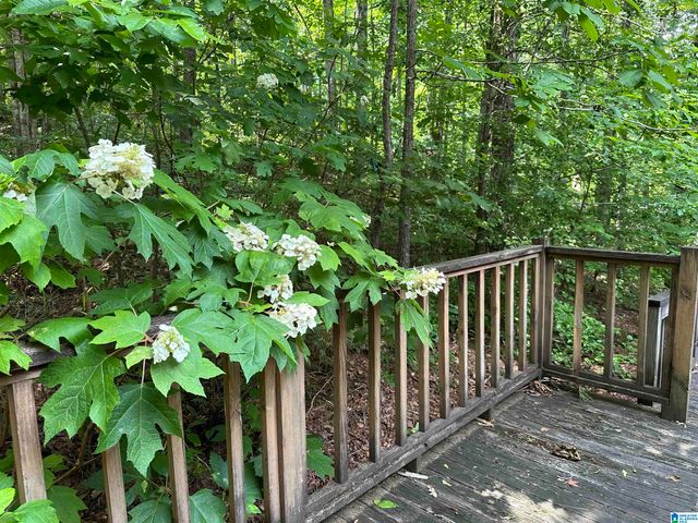 1009 COUNTY ROAD 619, Woodland, AL 36280