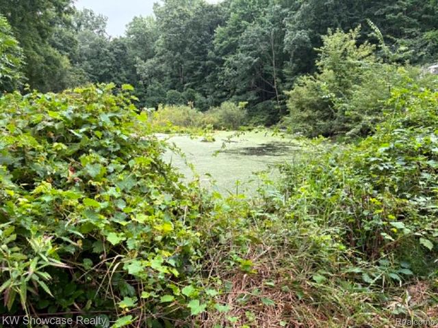4949 Clarkston Rd Road, Independence Charter Township, MI 48348