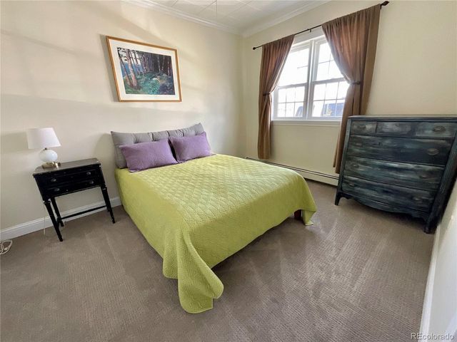 135 Chestnut St, Leadville, CO 80461