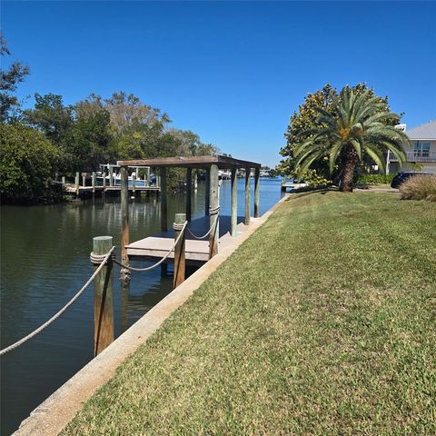 4517 PINFISH LANE, Palmetto, FL 34221
