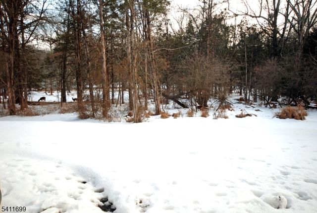 1418 Magnolia Ln Ondo, Branchburg Twp., NJ 08876