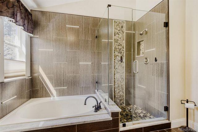 10047 Andrush Court, Lone Tree, CO 80124