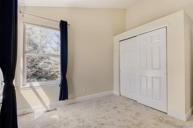 10047 Andrush Court, Lone Tree, CO 80124