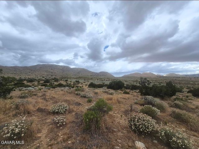 0 W Willow Springs Road, Mojave, CA 93501