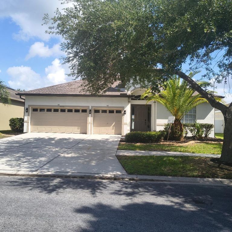 20016 OAKFLOWER AVENUE, Tampa, FL 33647
