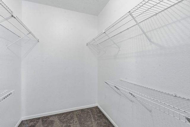 8811 Schick RD B, Austin, TX 78729