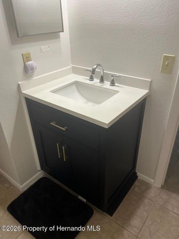 13455 White Plains Street, Spring Hill, FL 34609