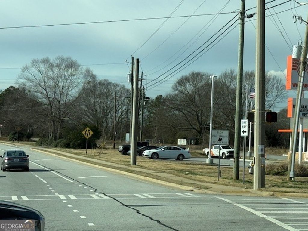 0 Highway 17 (Concrete Rd), Lavonia, GA 30553 — photo 4