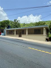 Carr #152 Km 19.3 BO ANONES SOLAR 13, Naranjito, PR 00719