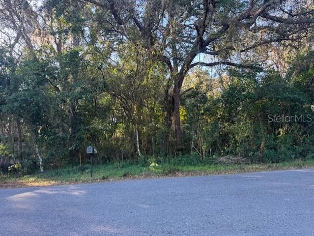 4547 CR 692, Webster, FL 33597