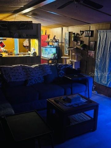 4547 CR 692, Webster, FL 33597