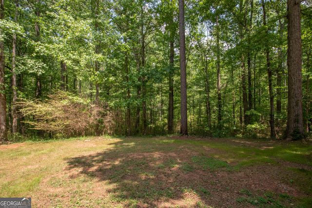 80 Walton Place Drive, Newnan, GA 30263