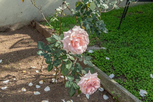 5622 Huntington Ave, Richmond, CA 94804