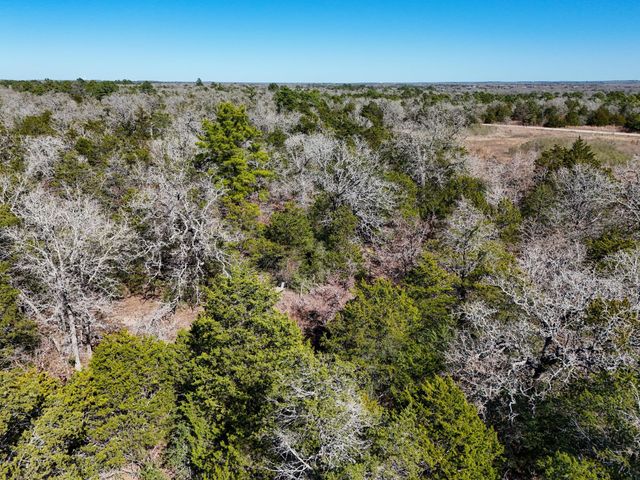 Lot 12 Antioch RD, Paige, TX 78659