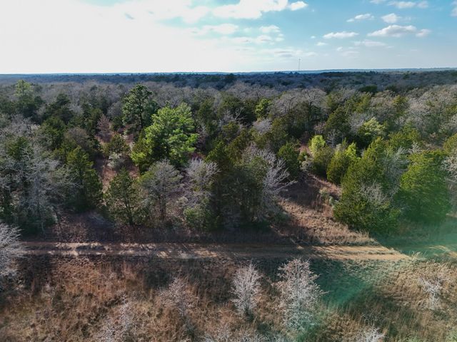 Lot 12 Antioch RD, Paige, TX 78659